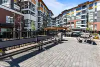 102 11641 227 STREET - thumbnail 24