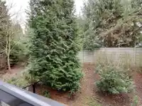 224 15918 26 AVENUE - thumbnail 19