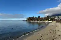 101 1737 DUCHESS AVENUE - thumbnail 22