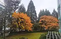 206 4505 HAZEL STREET - thumbnail 17
