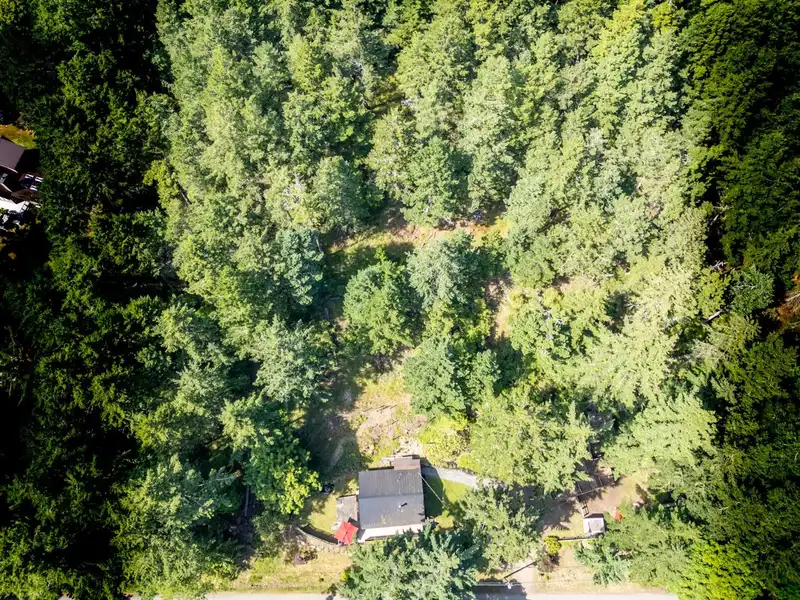 9907 GOWLLAND POINT ROAD - photo 4 of 40