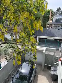 1714 ALMA STREET - thumbnail 38