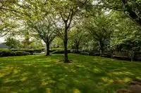 506 4182 DAWSON STREET - thumbnail 28