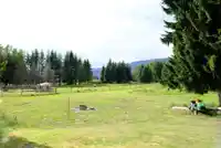 19465 MCNEIL ROAD - thumbnail 16
