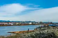37 10333 RIVER DRIVE - thumbnail 13