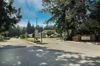 92 2315 198 STREET - thumbnail 36