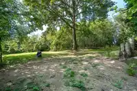 27437 12B AVENUE - thumbnail 30