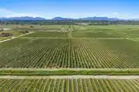 15683 64 AVENUE - thumbnail 8