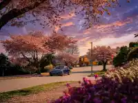 7548 SEQUOIA ROAD - thumbnail 4