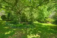 31155 OLSON AVENUE - thumbnail 18