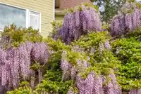 5575 CURRAN ROAD - thumbnail 28