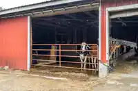 42872 SOUTH SUMAS ROAD - thumbnail 33