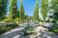 203 1561 W 57TH AVENUE - thumbnail 6