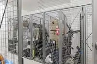 10 7708 ALDERBRIDGE WAY - thumbnail 24