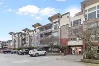 417 33539 HOLLAND AVENUE - thumbnail 27