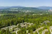 2 8533 CUMBERLAND PLACE - thumbnail 32