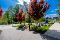15 6897 201 STREET - thumbnail 35